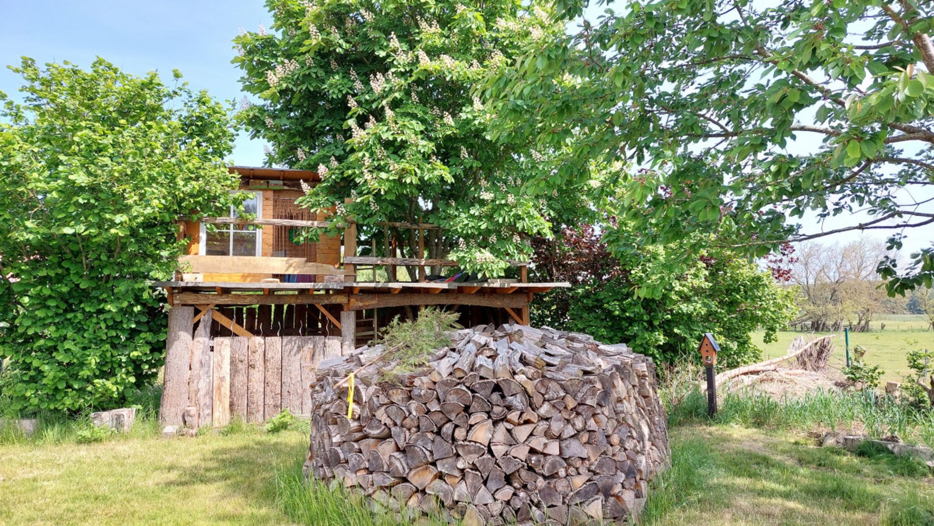 Holzverschlag mit Baumhaus