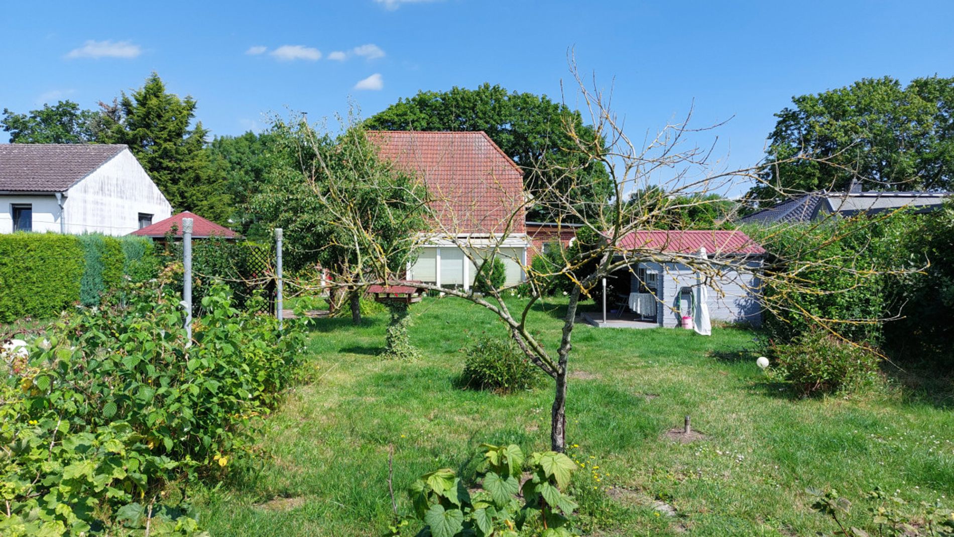 Blick vom Garten aufs Haus