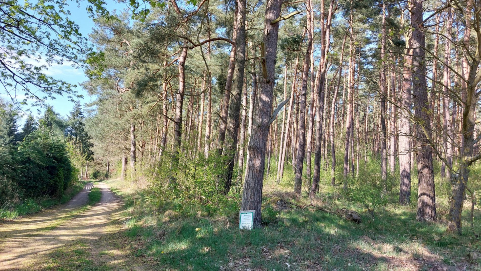 Grundstück/Außenbereich
