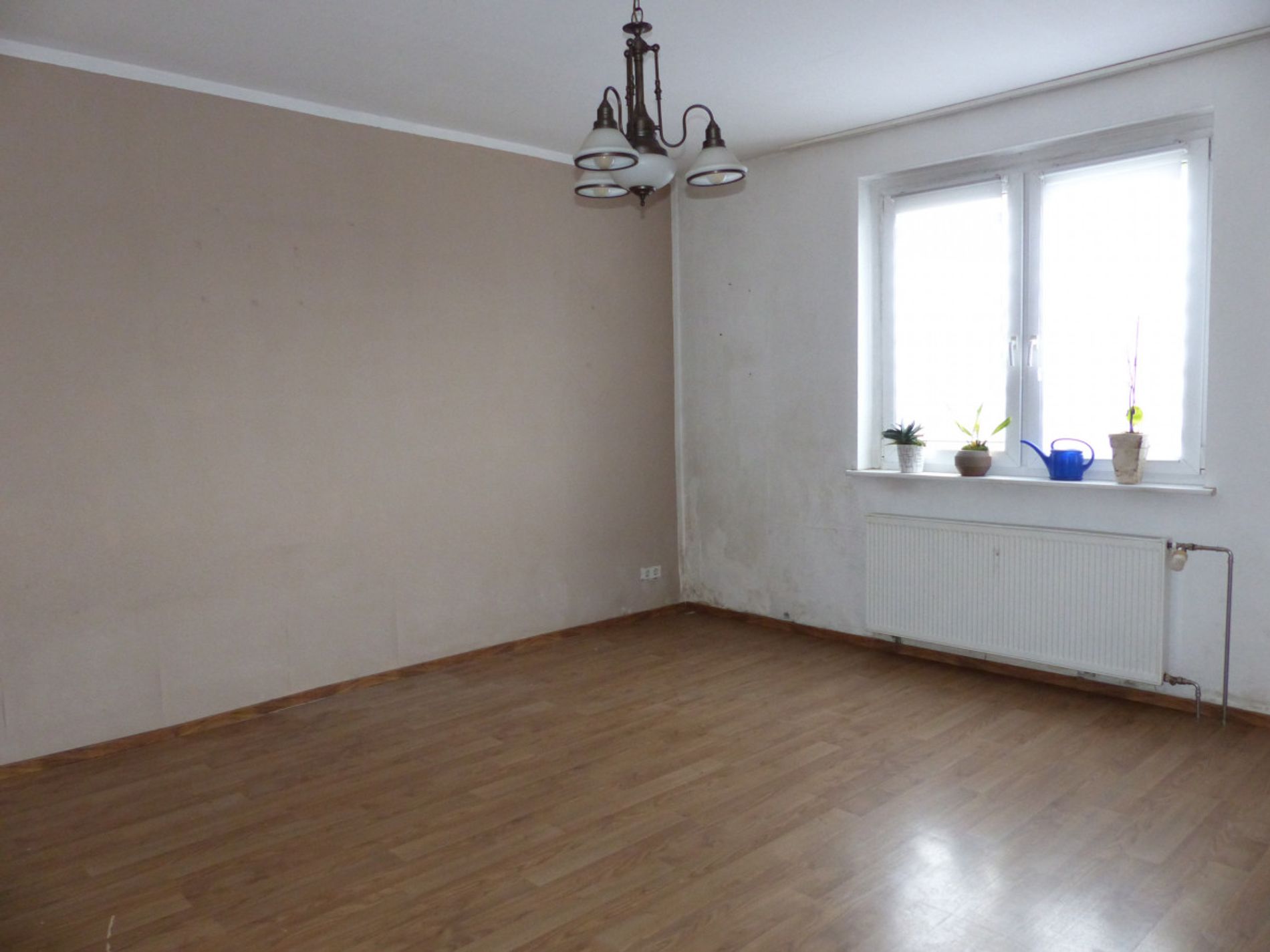 Zimmer EG