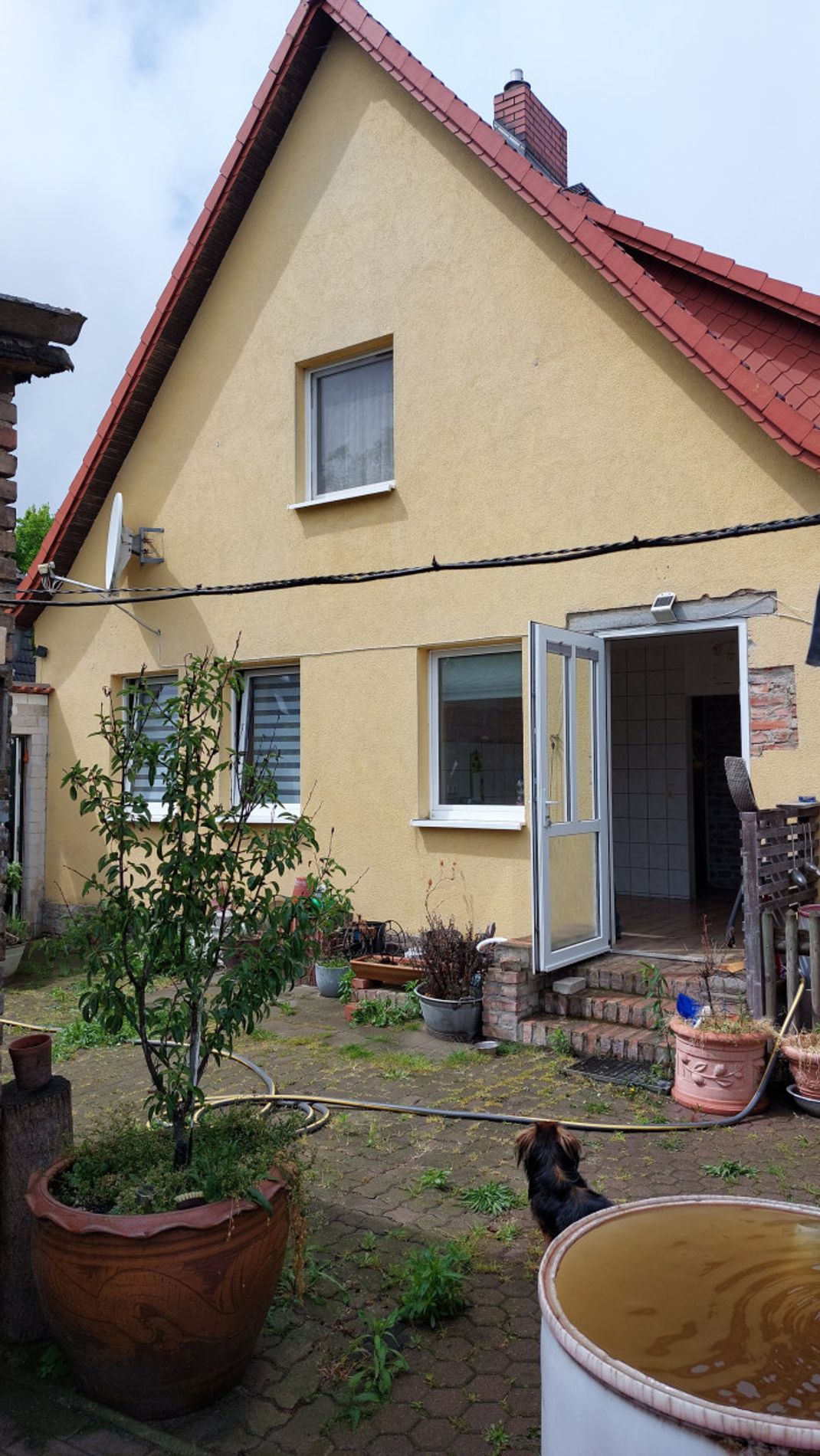 Hinteransicht