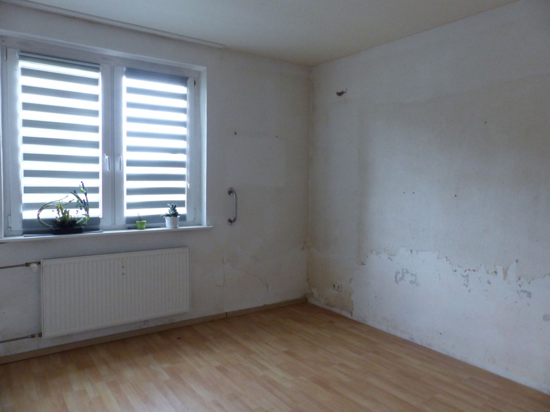 Zimmer EG