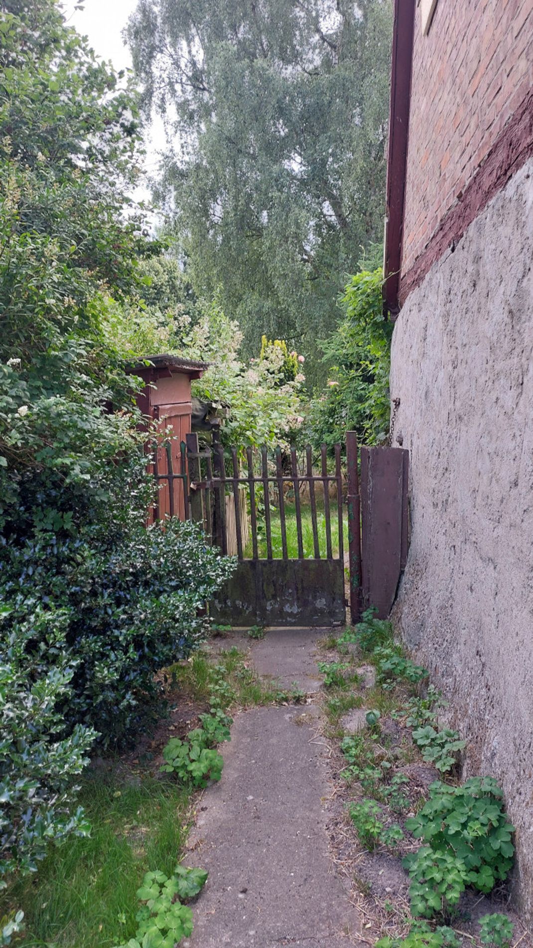 Weg zum Garten
