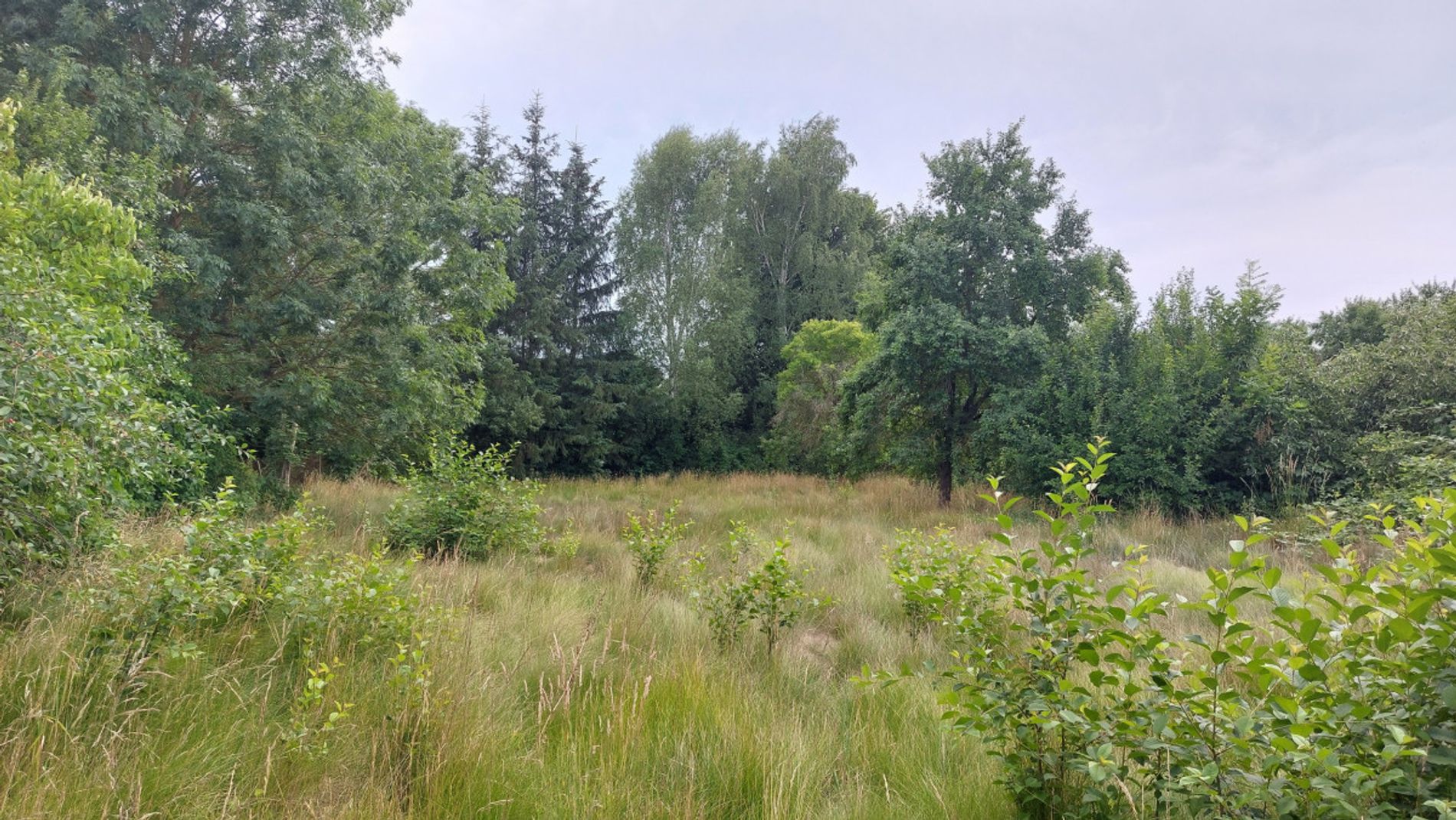 Grundszück