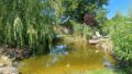 Gartenteich