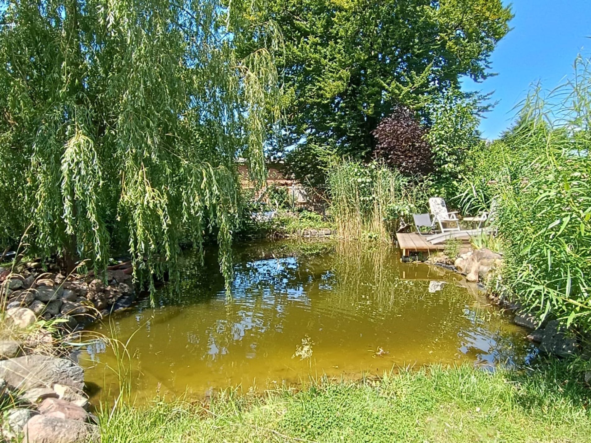 Gartenteich