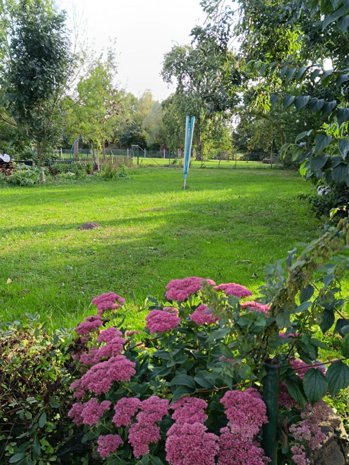 .......................