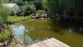 Gartenteich mit kl. Terrasse