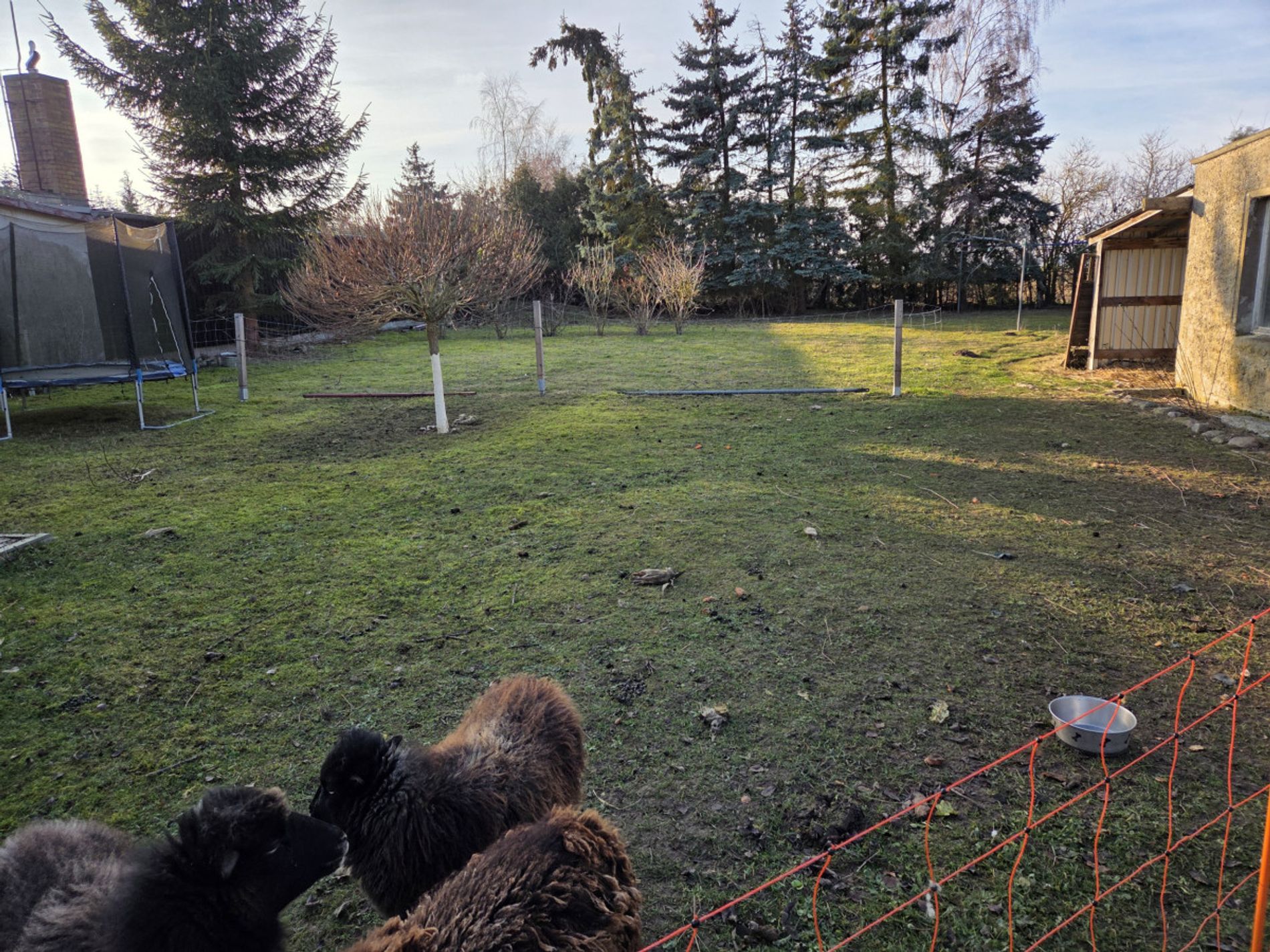 Grundstück hi d Haus