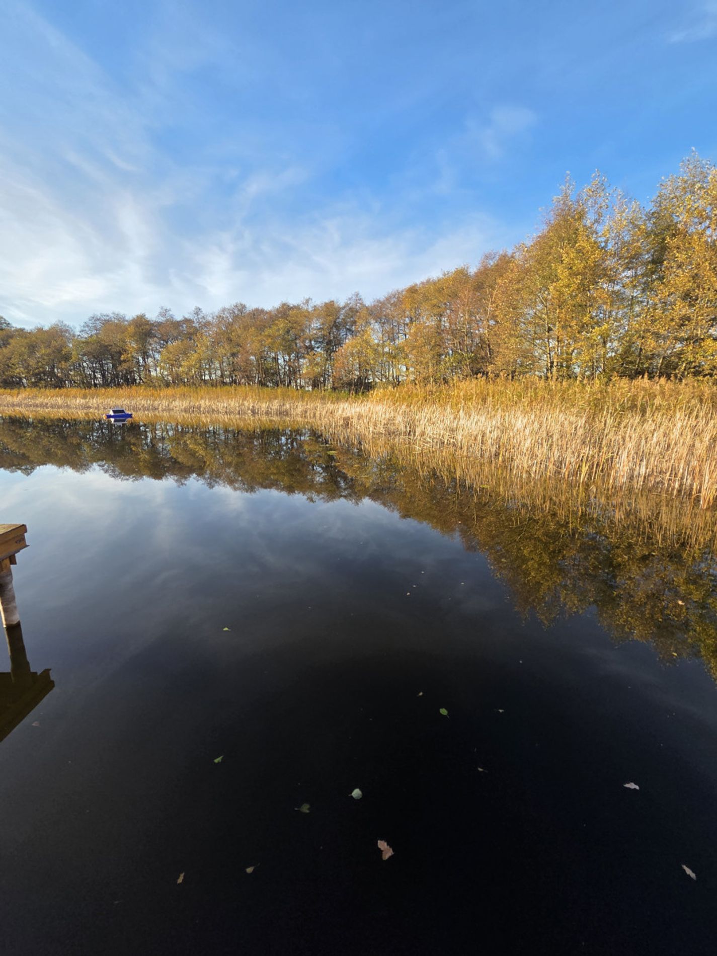 Herbst am Schmiedgrundsee