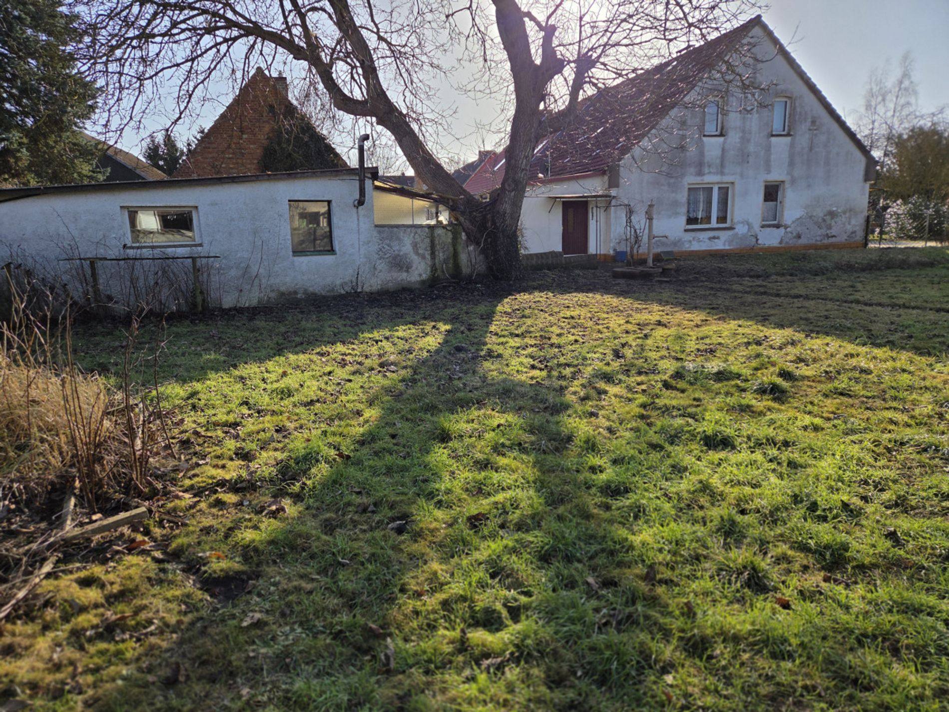 Garten Richtung Haus