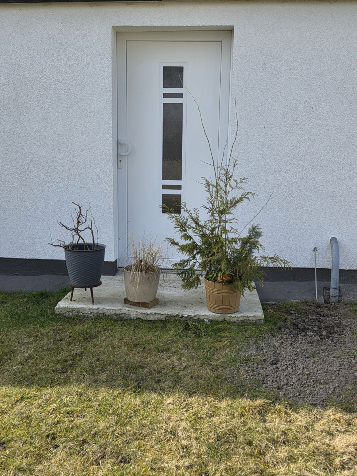 vordere Eingangstür