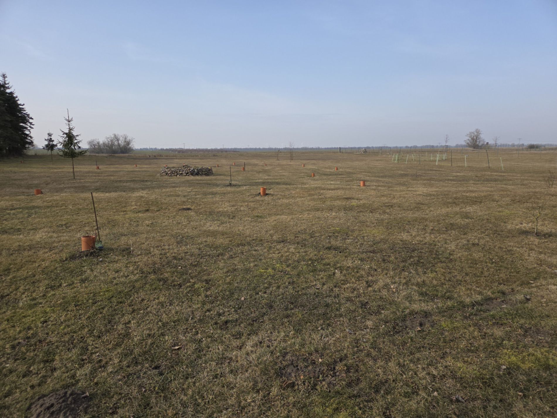 Wiese mit Obstbäumen