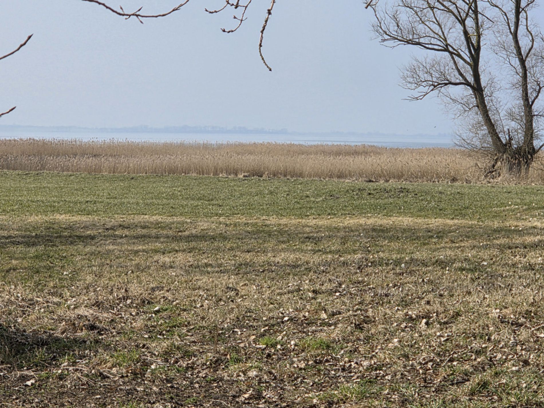 Blick auf den Barther Bodden