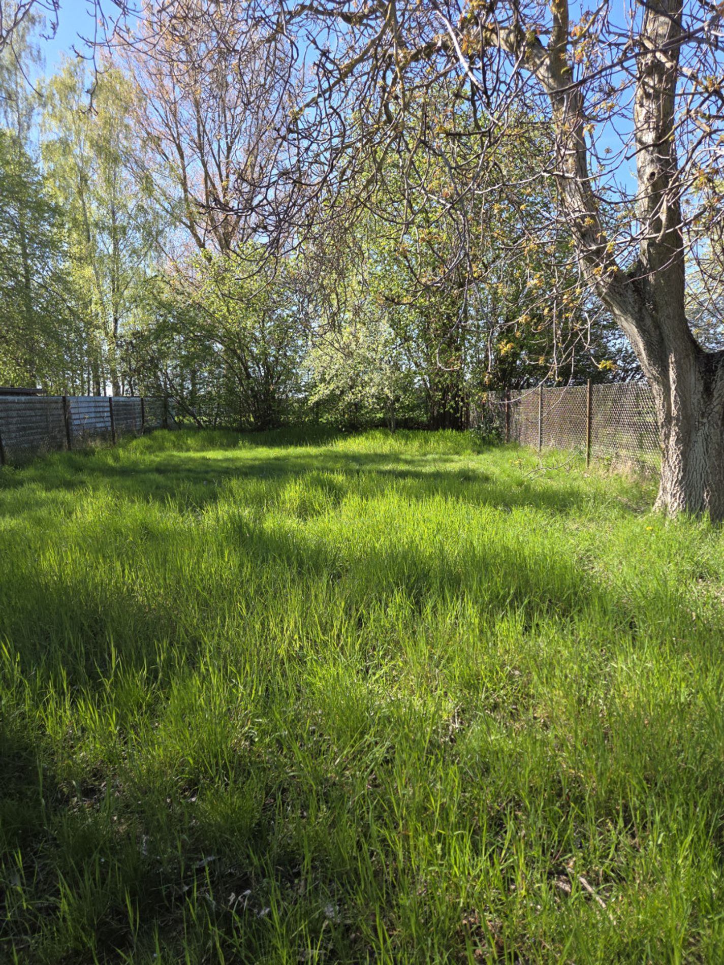 hinteres Grundstück / Garten
