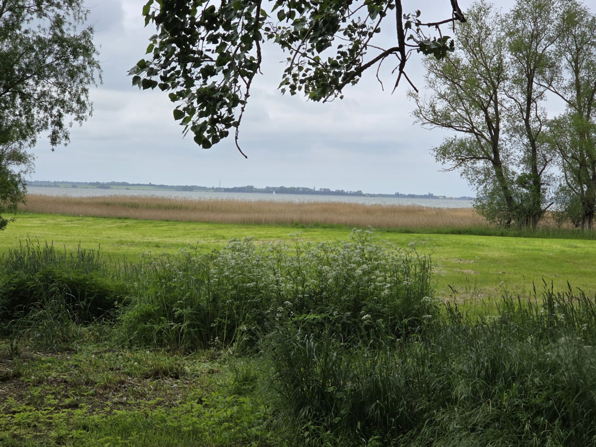 Grundst.  Blick auf d.  Bodden