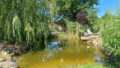Gartenteich