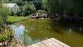 Gartenteich mit kl. Terrasse