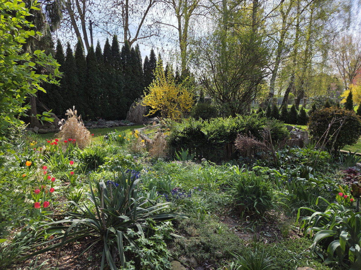 Garten