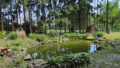 Gartenteich