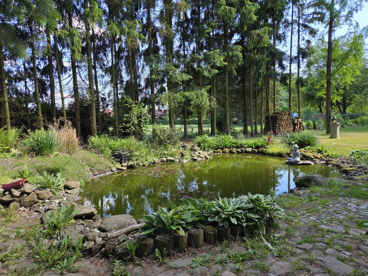 Gartenteich
