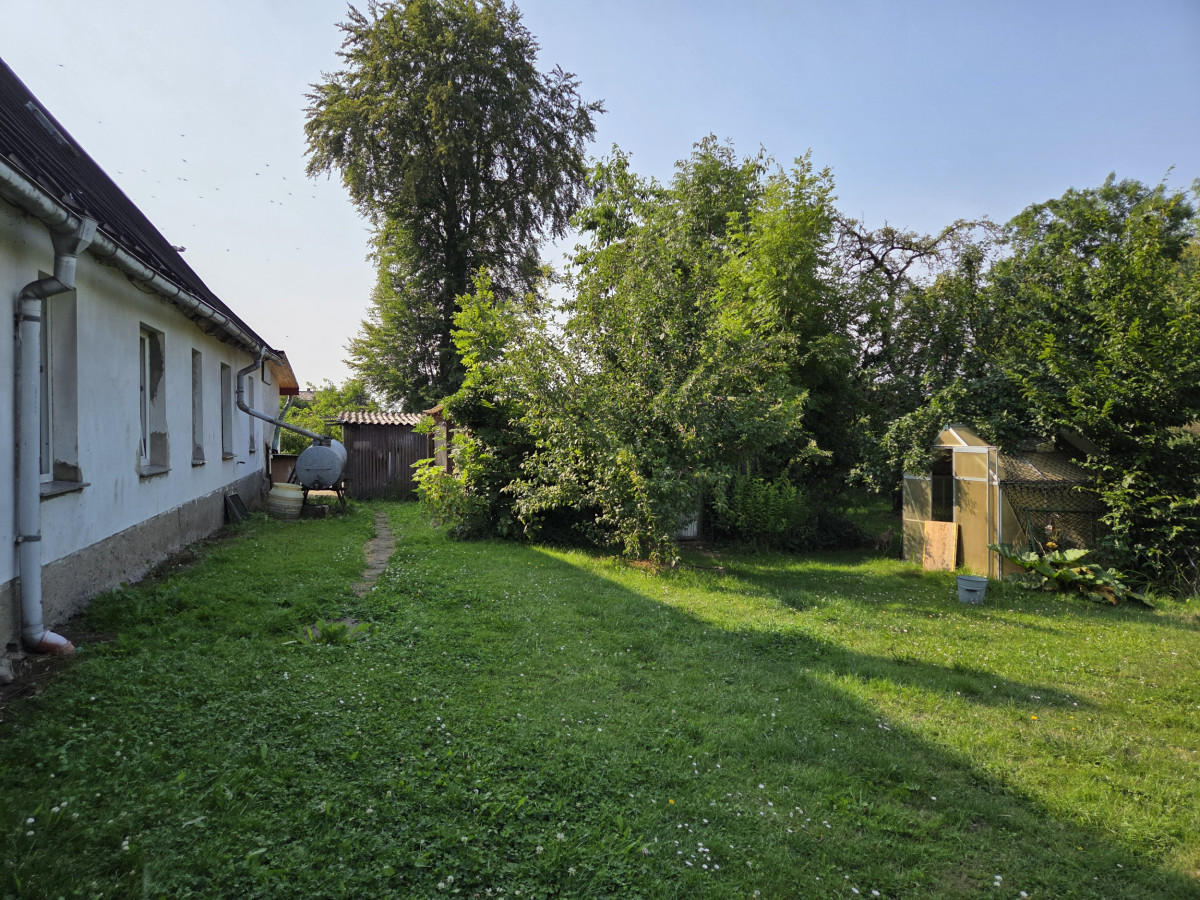 hinter dem Haus