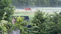 .....hinter dem Grundstück